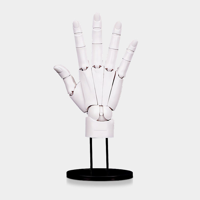 Human Hand Model